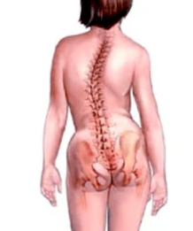 Patologia do sistema musculoesquelético